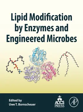 Bornscheuer |  Lipid Modification by Enzymes and Engineered Microbes | eBook | Sack Fachmedien