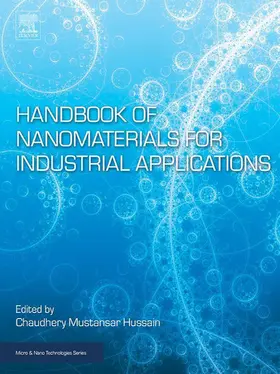 Mustansar Hussain |  Handbook of Nanomaterials for Industrial Applications | eBook | Sack Fachmedien