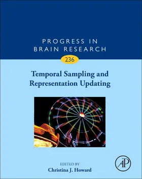  Temporal Sampling and Representation Updating | Buch |  Sack Fachmedien