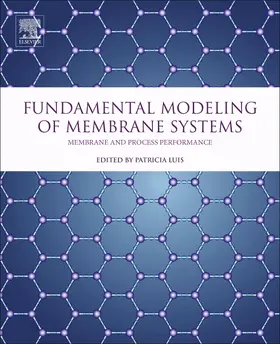 Alconero / Luis |  Fundamental Modeling of Membrane Systems | Buch |  Sack Fachmedien