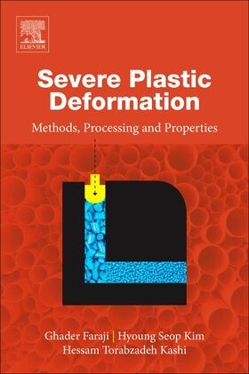 Faraji / Kim / Kashi |  Severe Plastic Deformation | Buch |  Sack Fachmedien