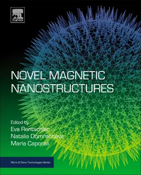 Domracheva / Caporali / Rentschler |  Novel Magnetic Nanostructures: Unique Properties and Applications | Buch |  Sack Fachmedien