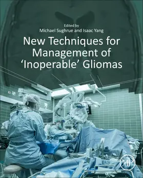 Sughrue / Yang |  New Techniques for Management of 'Inoperable' Gliomas | Buch |  Sack Fachmedien