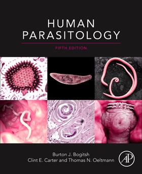 Bogitsh / Carter / Oeltmann |  Human Parasitology | Buch |  Sack Fachmedien