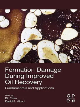 Yuan / Wood |  Formation Damage during Improved Oil Recovery | eBook | Sack Fachmedien