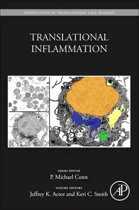  Translational Inflammation | Buch |  Sack Fachmedien