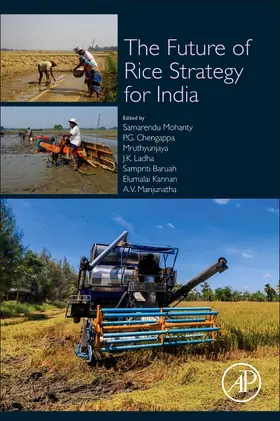 Mohanty / Chengappa / Hedge |  The Future Rice Strategy for India | Buch |  Sack Fachmedien