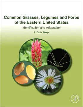 Abaye |  Common Grasses, Legumes and Forbs of the Eastern United States | Buch |  Sack Fachmedien