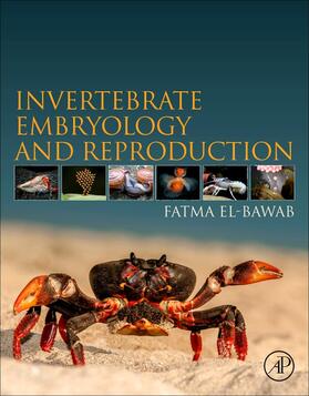 El-Bawab |  Invertebrate Embryology and Reproduction | Buch |  Sack Fachmedien