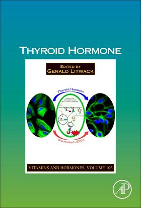  Thyroid Hormone | Buch |  Sack Fachmedien