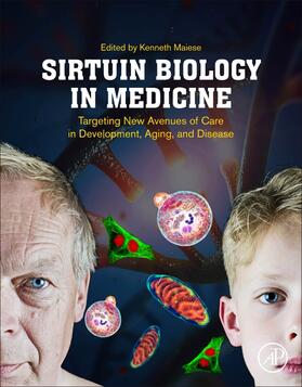 Maiese |  Sirtuin Biology in Medicine | Buch |  Sack Fachmedien