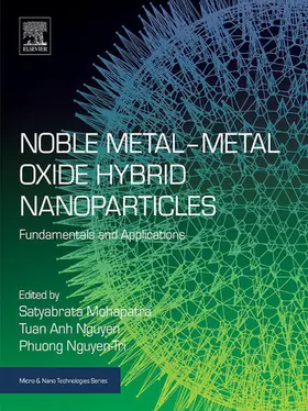 Mohapatra / Nguyen / Nguyen-Tri |  Noble Metal-Metal Oxide Hybrid Nanoparticles | eBook | Sack Fachmedien