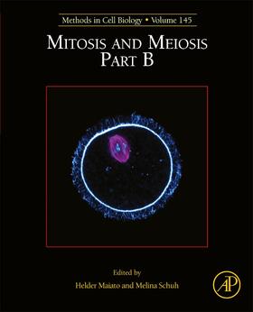  Mitosis and Meiosis Part B | Buch |  Sack Fachmedien