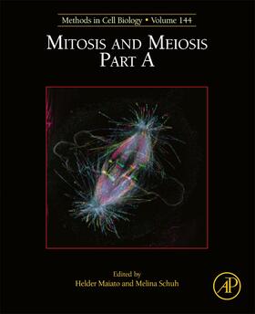  Mitosis and Meiosis Part A | Buch |  Sack Fachmedien