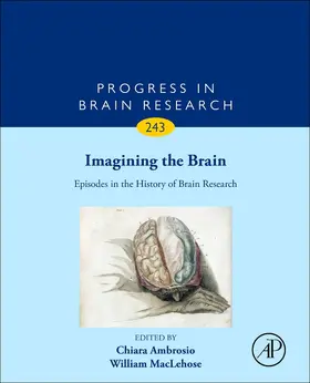 Ambrosio / Maclehose |  Imagining the Brain: Episodes in the History of Brain Research | Buch |  Sack Fachmedien