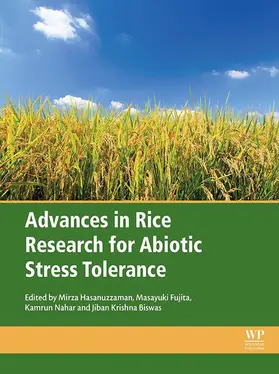 Hasanuzzaman Ph. D. / Hasanuzzaman / Fujita M. Agr. |  Advances in Rice Research for Abiotic Stress Tolerance | eBook | Sack Fachmedien