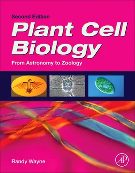 Wayne |  Plant Cell Biology | Buch |  Sack Fachmedien