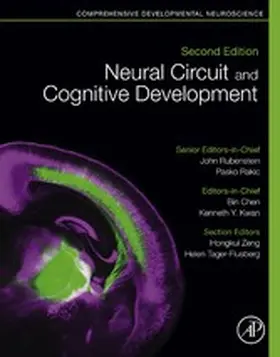 Chen / Kwan / Rubenstein |  Neural Circuit and Cognitive Development | eBook | Sack Fachmedien