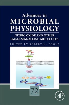  Nitric Oxide and Other Small Signalling Molecules | Buch |  Sack Fachmedien