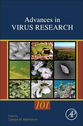 Environmental Virology and Virus Ecology | Buch | 978-0-12-814415-2 | sack.de