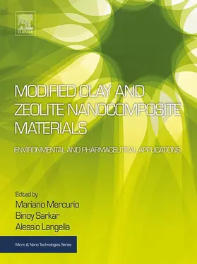 Mercurio / Sarkar / Langella | Modified Clay and Zeolite Nanocomposite Materials | E-Book | sack.de