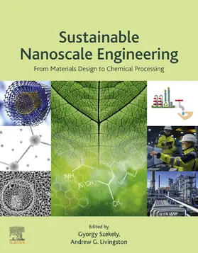 Szekely / Livingston |  Sustainable Nanoscale Engineering | eBook | Sack Fachmedien