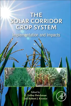 Deichman / Kremer |  The Solar Corridor Crop System | Buch |  Sack Fachmedien