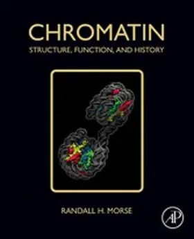 Morse |  Chromatin | eBook | Sack Fachmedien