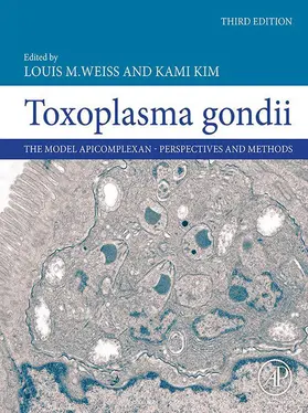 Weiss / Kim |  Toxoplasma Gondii | eBook | Sack Fachmedien