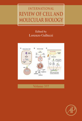 Galluzzi |  International Review of Cell and Molecular Biology | eBook | Sack Fachmedien
