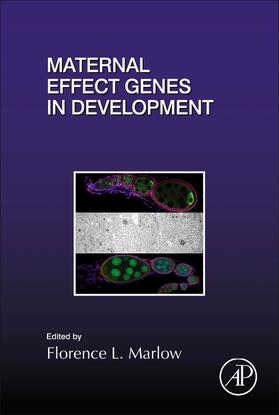  Maternal Effect Genes in Development | Buch |  Sack Fachmedien