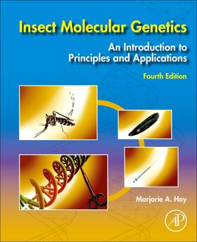 Hoy |  Insect Molecular Genetics | Buch |  Sack Fachmedien