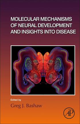  Molecular Mechanisms of Neural Development and Insights into Disease | Buch |  Sack Fachmedien