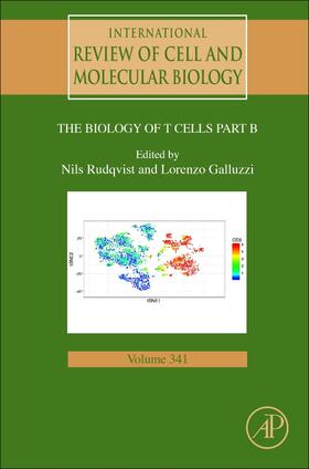  Biology of T Cells - Part B | Buch |  Sack Fachmedien