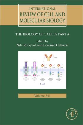  Biology of T Cells - Part A | Buch |  Sack Fachmedien