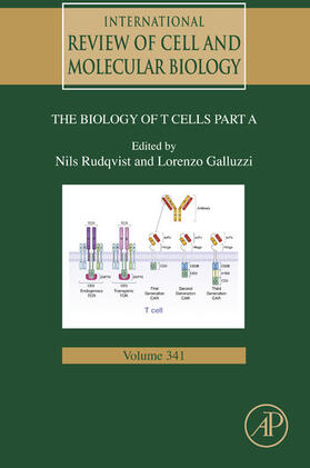 Galluzzi / Rudqvist |  Biology of T Cells - Part A | eBook | Sack Fachmedien