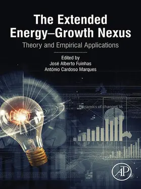 Fuinhas / Marques |  The Extended Energy-Growth Nexus | eBook | Sack Fachmedien