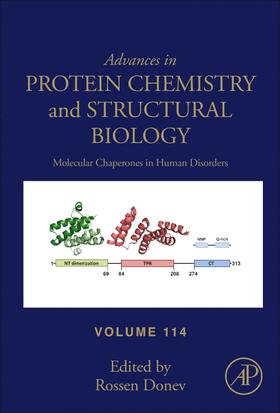  Molecular Chaperones in Human Disorders | Buch |  Sack Fachmedien