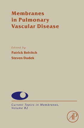 Belvitch / Dudek |  Membranes in Pulmonary Vascular Disease | eBook | Sack Fachmedien