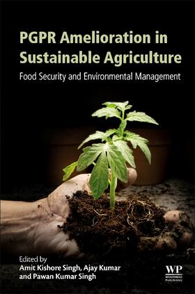 Singh / Kumar |  PGPR Amelioration in Sustainable Agriculture | Buch |  Sack Fachmedien