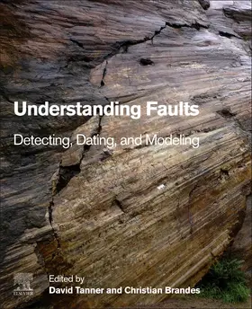 Tanner / Brandes |  Understanding Faults | Buch |  Sack Fachmedien