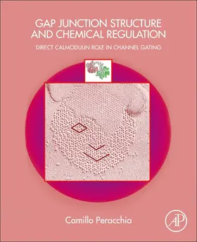 Peracchia |  Gap Junction Structure and Chemical Regulation | Buch |  Sack Fachmedien