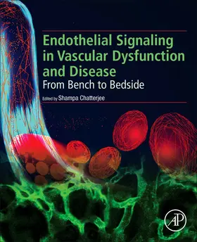 Chatterjee |  Endothelial Signaling in Vascular Dysfunction and Disease | Buch |  Sack Fachmedien