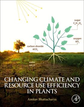 Bhattacharya |  Changing Climate and Resource use Efficiency in Plants | Buch |  Sack Fachmedien