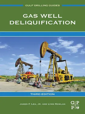 Lea Jr. / Rowlan |  Gas Well Deliquification | eBook | Sack Fachmedien