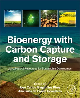 Pires / Cunha Goncalves |  Bioenergy with Carbon Capture and Storage | Buch |  Sack Fachmedien