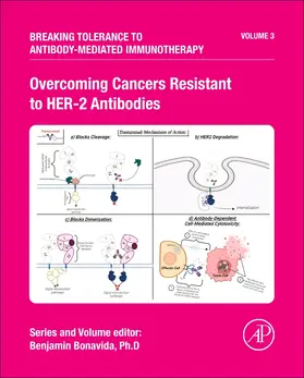 Bonavida |  Overcoming Cancers Resistant to Her-2 Antibodies | Buch |  Sack Fachmedien