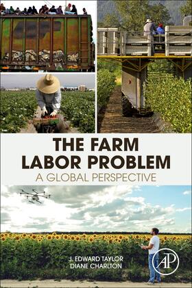 Taylor / Charlton |  The Farm Labor Problem | Buch |  Sack Fachmedien