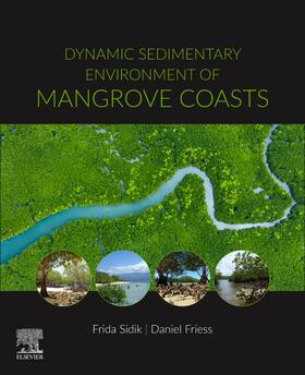 Friess / Sidik |  Dynamic Sedimentary Environments of Mangrove Coasts | Buch |  Sack Fachmedien