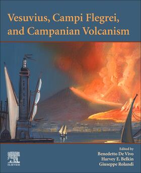 De Vivo / Belkin / Rolandi |  Vesuvius, Campi Flegrei, and Campanian Volcanism | Buch |  Sack Fachmedien